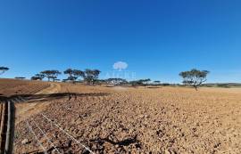 Farm Reguengos de Monsaraz