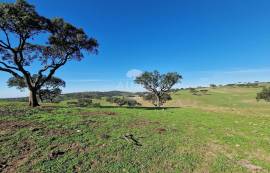 Farm Reguengos de Monsaraz