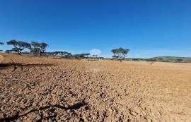 Farm Reguengos de Monsaraz