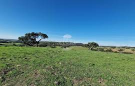 Land Reguengos de Monsaraz