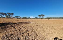 Land Reguengos de Monsaraz