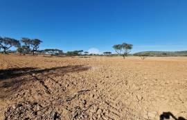 Farm Reguengos de Monsaraz