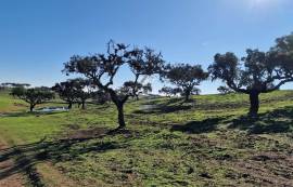 Land Reguengos de Monsaraz