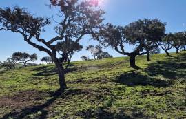 Farm Reguengos de Monsaraz