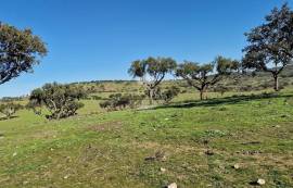 Land Reguengos de Monsaraz