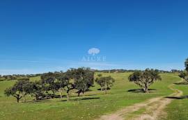 Land Reguengos de Monsaraz