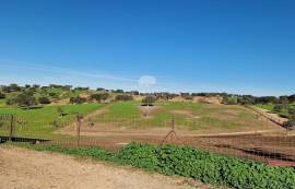 Land Reguengos de Monsaraz