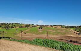 Farm Reguengos de Monsaraz