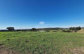Land Reguengos de Monsaraz