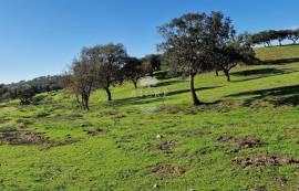 Land Reguengos de Monsaraz