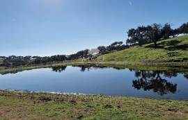 Land Reguengos de Monsaraz