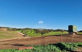 Land Reguengos de Monsaraz