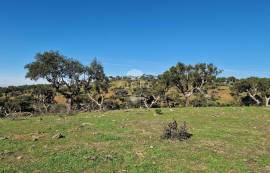 Land Reguengos de Monsaraz