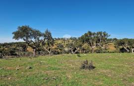 Farm Reguengos de Monsaraz