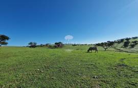 Land Reguengos de Monsaraz