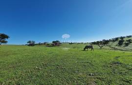 Farm Reguengos de Monsaraz