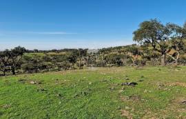 Land Reguengos de Monsaraz