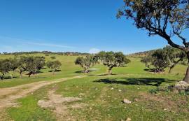 Land Reguengos de Monsaraz