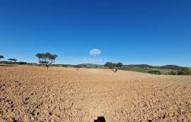 Land Reguengos de Monsaraz