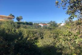 Land - Senhora do Verde