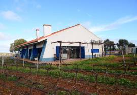 15-hectare estate with vineyard in Estremoz