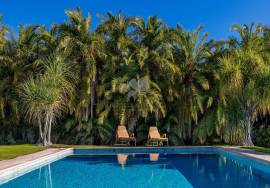 Detached 3 bedroom luxury villa with pool, Hectares of Olive groves & amazing sea views. Moncarapacho Detached 3 bedroom luxury villa with pool, Hectares of Olive groves & amazing sea views. Moncarapacho