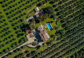 Detached 3 bedroom luxury villa with pool, Hectares of Olive groves & amazing sea views. Moncarapacho Detached 3 bedroom luxury villa with pool, Hectares of Olive groves & amazing sea views. Moncarapacho