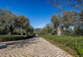 Detached 3 bedroom luxury villa with pool, Hectares of Olive groves & amazing sea views. Moncarapacho Detached 3 bedroom luxury villa with pool, Hectares of Olive groves & amazing sea views. Moncarapacho