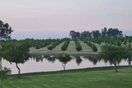Luxury Estate with Multiple Properties For Sale In Vaaldam South