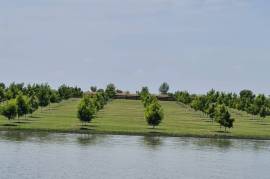 Luxury Estate with Multiple Properties For Sale In Vaaldam South
