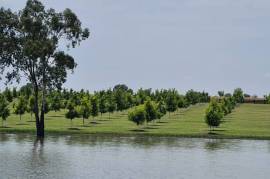 Luxury Estate with Multiple Properties For Sale In Vaaldam South