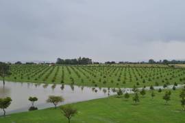 Luxury Estate with Multiple Properties For Sale In Vaaldam South