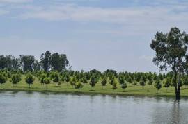 Luxury Estate with Multiple Properties For Sale In Vaaldam South