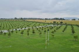 Luxury Estate with Multiple Properties For Sale In Vaaldam South