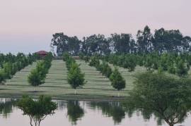 Luxury Estate with Multiple Properties For Sale In Vaaldam South