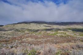 Excellent Plot of land for sale in the Chilean
