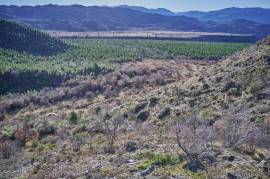 Excellent Plot of land for sale in the Chilean
