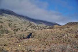 Excellent Plot of land for sale in the Chilean