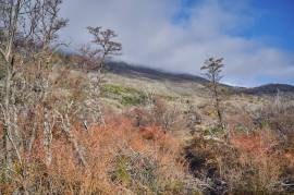 Excellent Plot of land for sale in the Chilean