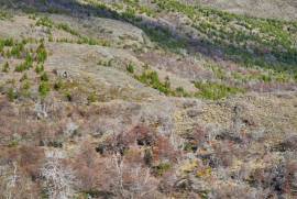 Excellent Plot of land for sale in the Chilean