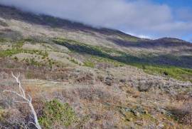 Excellent Plot of land for sale in the Chilean