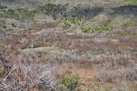 Excellent Plot of land for sale in the Chilean