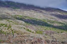 Excellent Plot of land for sale in the Chilean