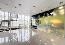 Commercial property Caldas da Rainha