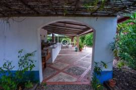 Alentejo: Historical Organic Estate (63HA) with 2 traditional homes, a pool, and 3 lakes
