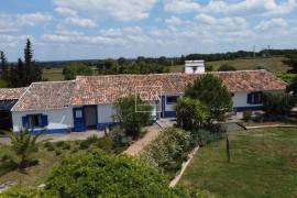 Alentejo: Historical Organic Estate (63HA) with 2 traditional homes, a pool, and 3 lakes