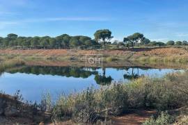 Alentejo: Historical Organic Estate (63HA) with 2 traditional homes, a pool, and 3 lakes