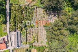 6 Bedroom House with Large Land – Opportunity in São Jorge, Santana