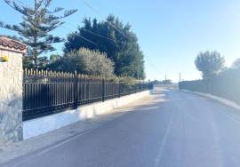 SALE of Country House in Elche.