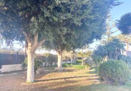 SALE of Country House in Elche.